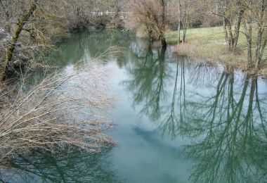Rijeka Bogdanica